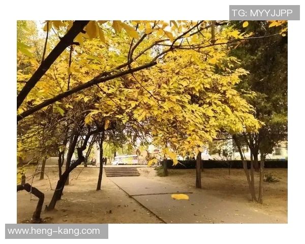 张堃鹏：在科技创新浪潮中勇攀高峰的青年领袖与创业者之路