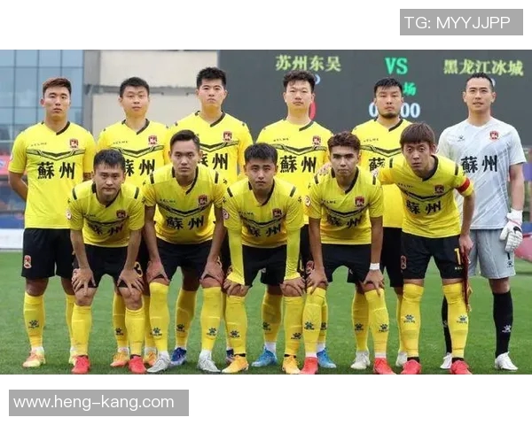 武汉与石家庄对决前瞻分析及比赛结果预测